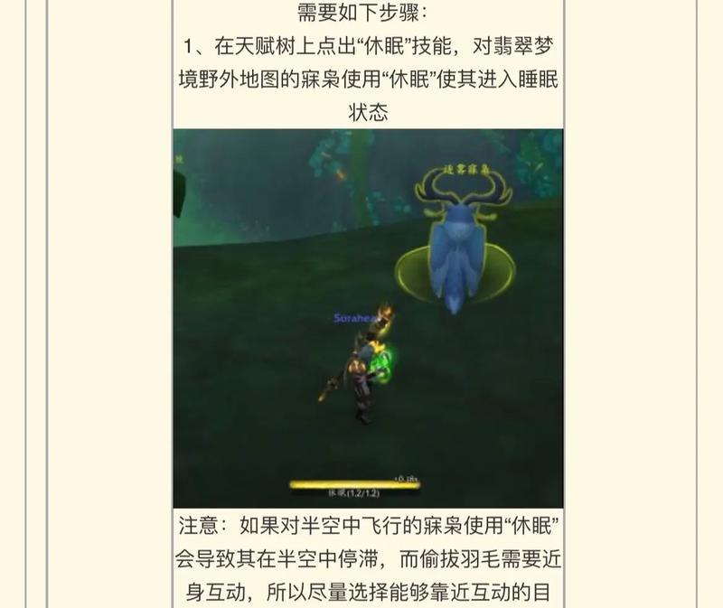 陈瀚在魔兽世界中如何使用德鲁伊？有哪些战斗技巧？