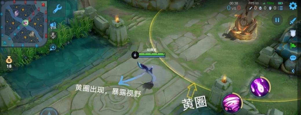 王者荣耀视野挤占的原因是什么？如何利用视野优势？
