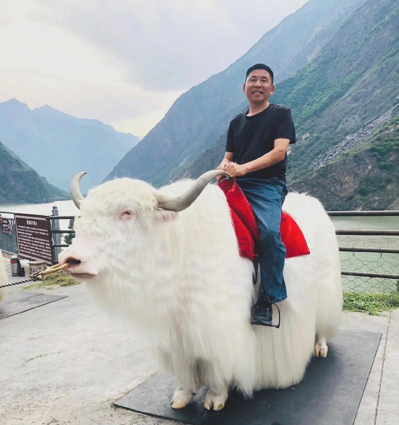 如何在魔兽世界中获得骑行牦牛？