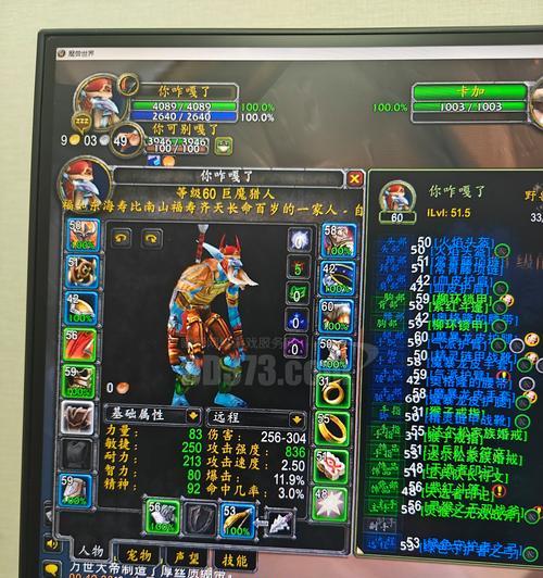 魔兽世界中猎人枪的使用方法是什么？