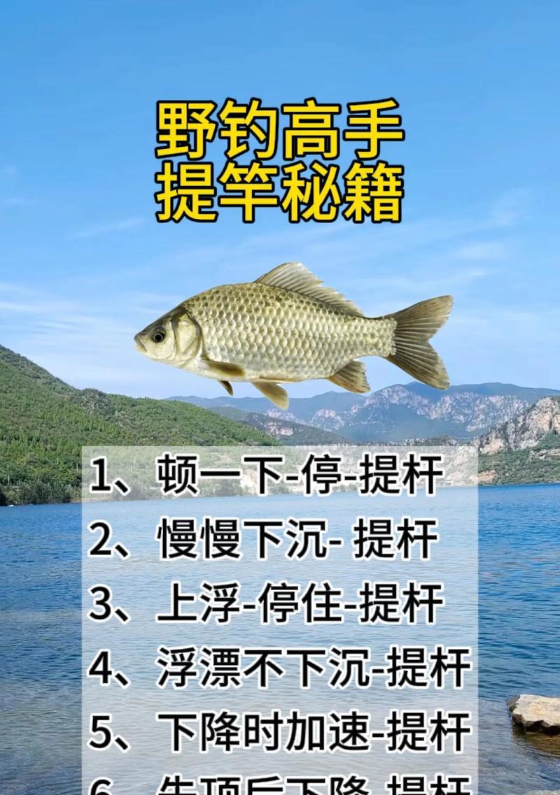 自动钓鱼竿使用方法是什么？