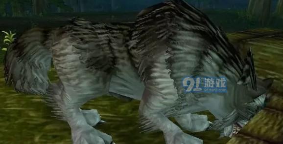 逆戟鲸外观在魔兽世界中如何获得？