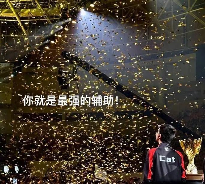 cat获得的冠军有哪些？