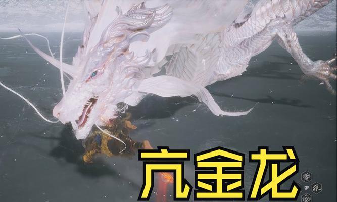 完美世界中黑金龙的打法是什么？挑战黑金龙需要注意什么？