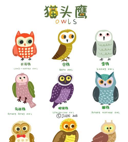 dnf猫头鹰有什么用？猫头鹰功能详细介绍？