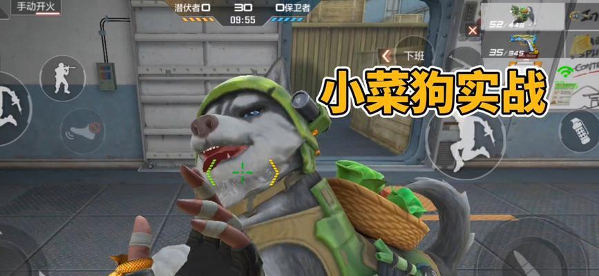 cf小菜狗宠物获取方法是什么？有什么特殊功能？