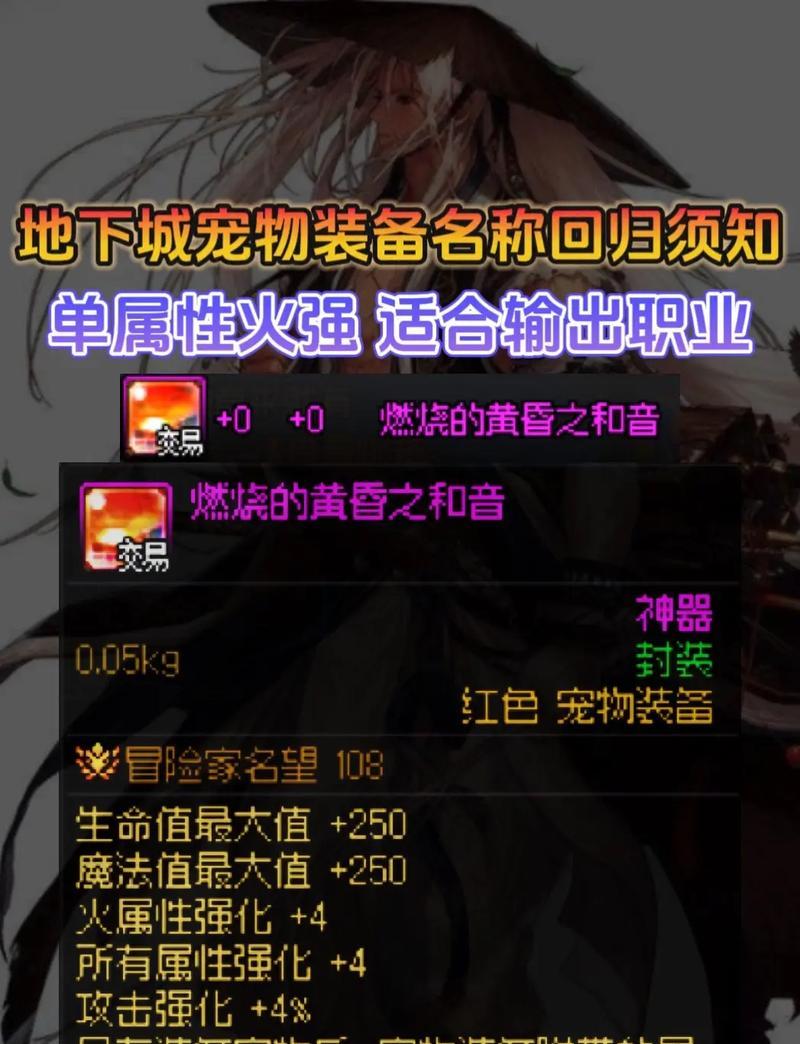 dnf奶宠物应该使用什么装备？如何选择？