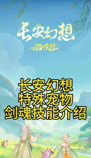 剑魂宠物释放的条件和方法是什么？