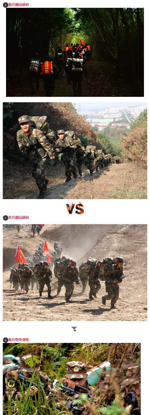 完美世界新兵老兵天梯组队有什么技巧？